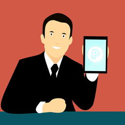 九游游戏在线玩-中国篮球联赛品牌建设策略与粉丝经济发展研究，中国国内的篮球联赛简称